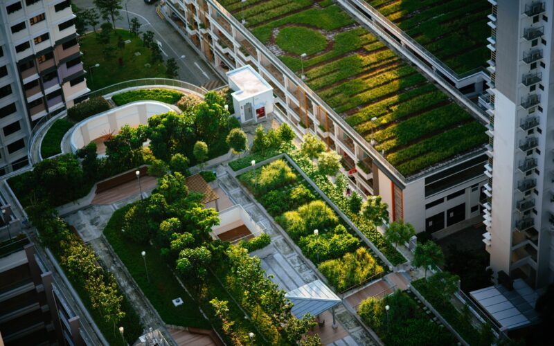 Gröna Byggnader och deras Påverkan på Miljön